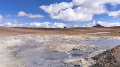 Andean Fauna National Reserve, Eduardo Avora, Altiplano, Bolivia, South America