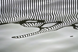Reflection of a bridge railing in a lake, Germany, Europe