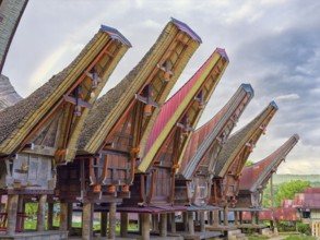 Traditional colourful houses, curved roofs, village in Tana Toraja, Rantepao, Sulawesi, Indonesia,