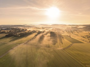 Wide fields in the morning mist and golden light of the sunrise, creating a peaceful atmosphere,