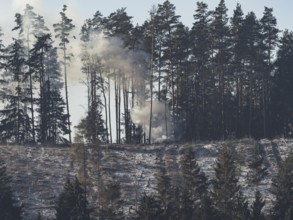 Fire in a forest in Upper Franconia, Germany, Europe