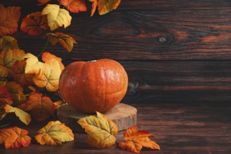 A pumpkin surrounded by autumn leaves in front of a dark wooden background