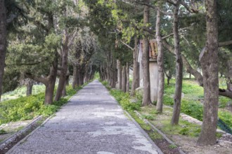 Way of the Cross on Mount Filerimos, Rhodes, Dodecanese, Greek island, Greece, Europe