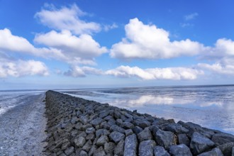 The Wadden Sea, East Frisia, between Bensersiel and Neuharlingersiel, Breakwater behind the dyke,