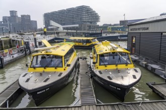 Water taxi Rotterdam, individual taxi rides with motorboats in Rotterdam, in the harbour and on the