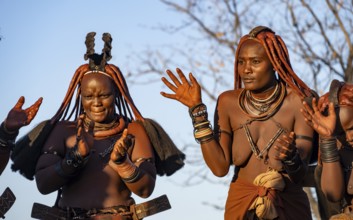 Traditional Himba woman clapping, music and dance, portraits, in the evening light, near Opuwo,