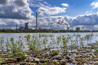 Duisburg-Hüttenheim steelworks, Hüttenwerke Krupp-Mannesmann, HKM, blast furnace B, coking plant,