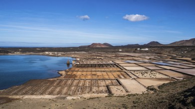 2016, Lanzarote, Salinas de Janubio, ESP, Spain, Canary Islands, Canary Islands, Atlantic Ocean,
