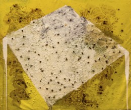 The Almonds, 1989, mixed media on canvas, exhibition Miquel Barcelo, Vida y Muerte, Museum