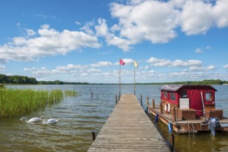 Footbridge with raft at Stolpsee under blue sky with cumulus clouds in summer, Two swans in the