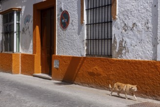Small alley with colourful house facades, Rota, Andalusia, Spain, Europe