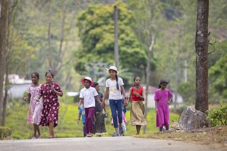 Sri Lankan woman and children go for a lunch break on a tea plantation, Ramboda, Nuwara Eliya,