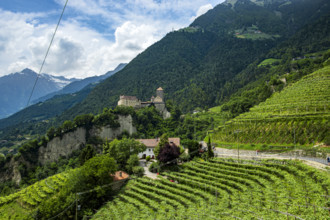 Tyrol Castle seen from Dorf Tyrol, medieval ancestral castle of the Counts of Tyrol and since 2003
