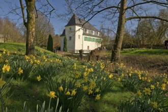Goldberg Mill in spring, historical sight, Mettmann, Bergisches Land, North Rhine-Westphalia,