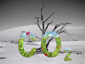 Symbolic image, carbon dioxide CO2, climate protection, climate change, world worth living in,