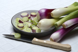 White and purple spring onions and onion slices in their skins, spring onion