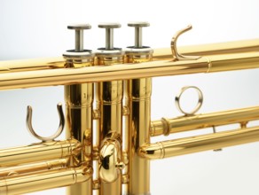 Trumpet in front of white background, detail, studio shot