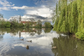 Huttenheim village reflected in a natural tree-lined river in spring. Bas Rhin, Alsace, France,