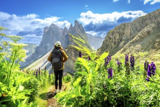 Female hiker walking on a path surrounded by flowers, enjoying the view of the odle mountains in