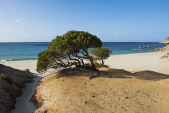 Lonely sandy beach and rocks, Spiaggia di Porto Sa Ruxi, Villasimius, south coast, Sardinia, Italy,