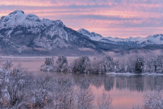 Dawn and sunrise at the wintry Forggensee in a snow-covered winter landscape in the foothills of