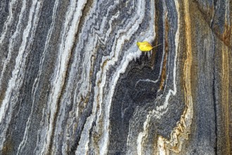 Rock structures with autumn leaves in the Verzasca River, near Lavertezzo, Canton Ticino,