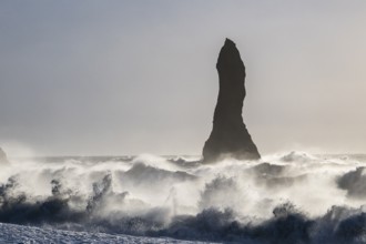 Rock needle in stormy surf, Vík í Mýrdal, Suðurland, Iceland, Europe