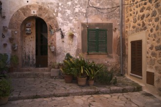 Backyard, idyllic, Valldemossa, Tramuntana Mountains, Serra de Tramuntana, Majorca, Balearic