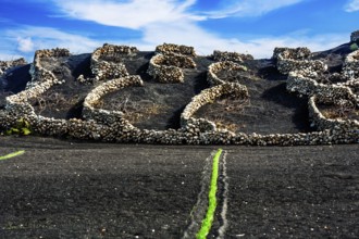 2016, Tiagua, Lanzarote, Farm Museum El Patio, Tiagua, ESP, Spain, Canary Islands, Canary Islands,