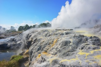 Prince of Wales and Pohutu geysers erupting, Te Puia Thermal Valley, Rotorua, Bay of Plenty, North