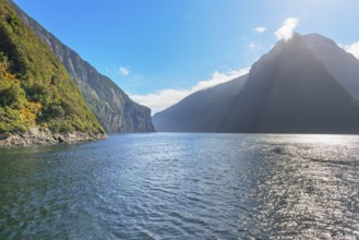 Milford Sound, Fiordland National Park, South Island, New Zealand, Oceania