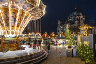 Carousel and stalls, Christmas market at the Humboldt Forum, Berlin Palace, Berlin Cathedral in the