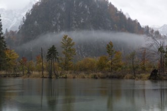 Autumn mood at lake Almsee, Grünau, Austria, Totes Gebirge, Europe