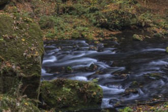 Flowing water with ferns and rocks in the Edmunds Gorge in autumn. River Kamnitz, Hrensko, Ustecky