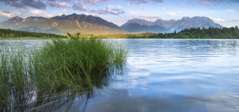 Evening mood at Barmsee with reeds, view of the Karwendel mountains, Krün, Bavaria, Germany, Europe