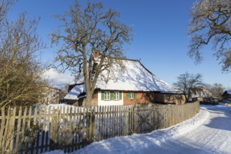 Thatched house in the snow, Hoben, Wismar, Mecklenburg-Vorpommern, Germany, Europe