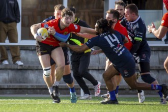 Rugby: Germany against MKS Pogon Awenta Siedlce, Poland in Heidelberg (test match of the German