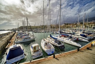Sailing ships in the marina with the panorama of Funchal, Funchal, Madeira, Portugal, Europe