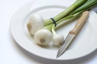 Onion, spring onions and knife on plate