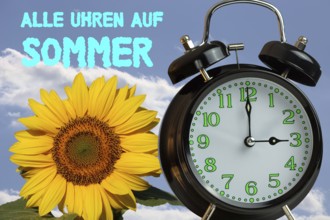 (Photomontage) Summer time changeover Symbol image: Alarm clock, sunflower and text ALL CLOCKS ON