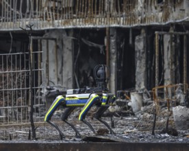 Essen, North Rhine-Westphalia, Germany, major fire in Essen's Weststadt district. The ruins of the