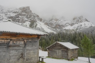 Huts on an alpine meadow at the foot of the Peitlerkofel in the snow, Passo delle Erbe, Würzjoch,