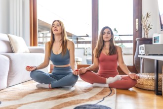 Two friends engaging in yoga and meditation during an online class at home, creating a peaceful and