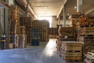 Full length photo of a pallet storage warehouse for recycling at a recycling plant