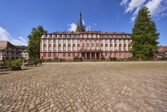 Erbach Castle, trees, cobblestone square, blue sky with cumulus clouds, market square, Erbach,
