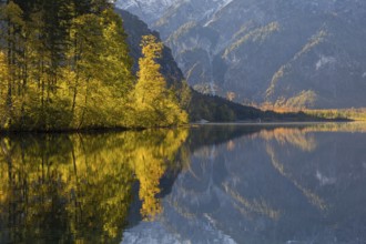 Lake Almsee in autumn with mountains reflected in the lake. Blue sky