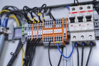 Close-up of wired circuit-breakers, showing technical accuracy and functional arrangement of