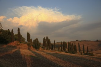 Tuscan landscape in the evening, Tuscany, Italy, Europe