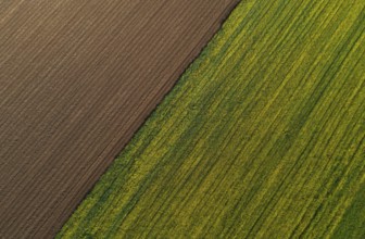 Drone view, green and ploughed fields, agricultural landscape, Innviertel, Upper Austria, Austria,