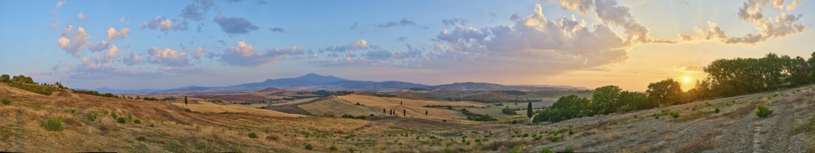 Typical Tuscan landscape in Val d'Orcia with hills, trees, fields, cypresses and farm road in